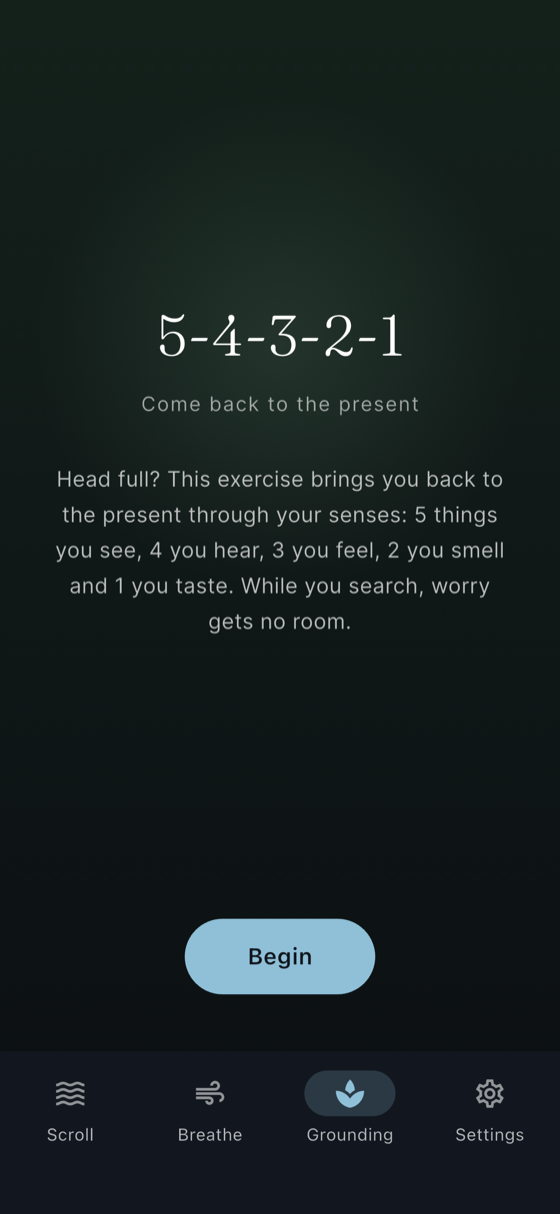 The 5-4-3-2-1 grounding exercise in Calm Moments
